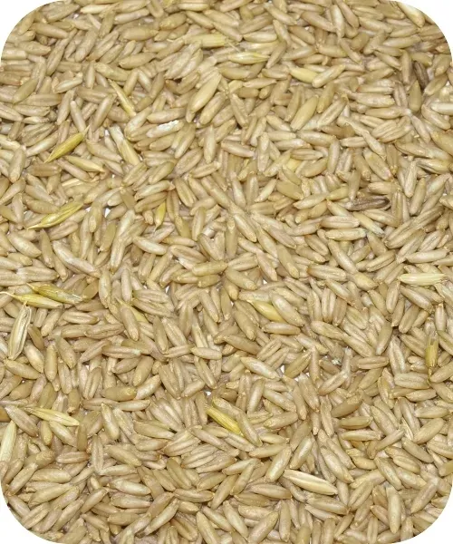 owies-10kg-ekologiczny