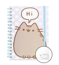 zeszyt-pusheen-the-cat-hi-notes-kot
