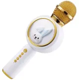 zs51-mikrofon-karaoke-bt-glosnik
