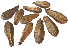 mehogani-tykwa-zlota-10-sztuk-8-12-cm-susz-egzotyczny-zloto-mehogany-stroik