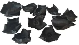 palm-cup-czarny-6-12-cm-10-sztuk-palmbluete-kwiat-orzecha-susz-egzotyczny