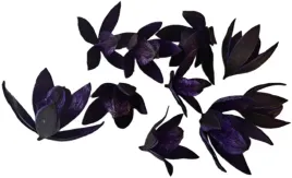 lilia-fioletowa-wild-glowka-10-sztuk-5-7-cm-susz-egzotyczny-lilie-na-stroik