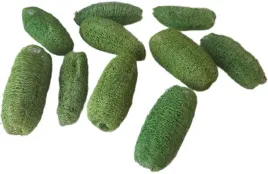 luffa-zielona-lufa-susz-egzotyczny-swieta-6-10cm-10-sztuk-stroik-dekoracja