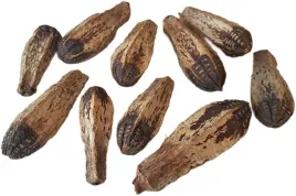 mehogani-tykwa-naturalna-10-sztuk-8-12cm-susz-egzotyczny-mehogany-na-stroik