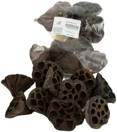 lotos-mini-natura-3-4cm-lotus-lotosy-10-sztuk-wszystkich-swietych-na-stroik