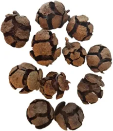 szyszka-cyprysowa-naturalna-2-3cm-60-sztuk-szyszki-popekana-ozdoba-stroik