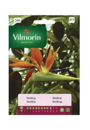 sterlicja-krolewska-rajski-ptak-unikalne-kwiaty