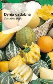 dynia-ozdobna-tykwa-mieszanka-odmian-nasiona-5g
