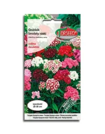 gozdzik-brodaty-mieszanka-mix-nasiona-kwiatow