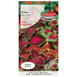 koleus-pokrzywka-nasiona-mieszanka-odmian
