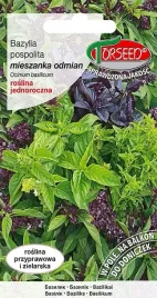 bazylia-mieszanka-odmian-nasiona