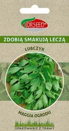 lubczyk-ogrodowy-lekarski-nasiona-ziol