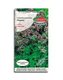 oregano-lebiodka-swieze-ziola-przyprawa-nasiona