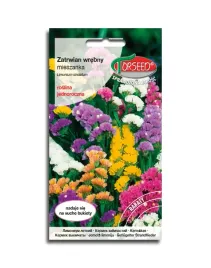 zatrwian-wrebny-mieszanka-kolorow-nasiona