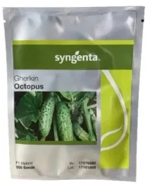 ogorek-octopus-nasiona-holenderskie-ogorki