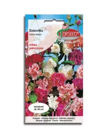 klarkia-dzierotka-mieszanka-nasiona-kwiatow