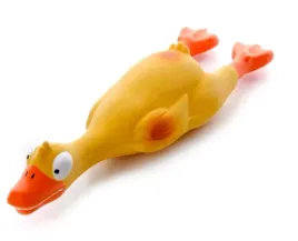 kaczka-lateksowa-dla-psa-23-cm-duza-zabawka