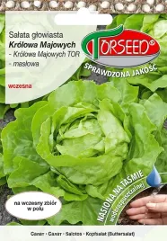 salata-maslowa-krolowa-majowych-wczesna-tasma