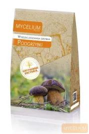 grzybnia-podgrzybki-120ml-wyselekcjonowana