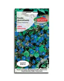 facelia-dzwonkowata-niebieska-ciekawe-nasiona