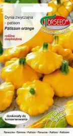 patison-orange-dynia-jak-dysk-nasiona