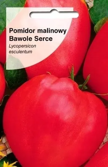 pomidor-gruntowy-bawole-serce-nasiona-kolor-kwiatow-zolte