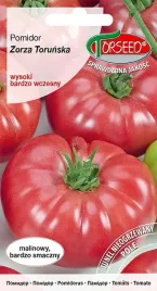 pomidor-zorza-torunska-wysoki-malinowy-torseed