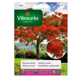 plomien-afryki-najpiekniejsze-drzewo-swiata-nasiona-vilmorin