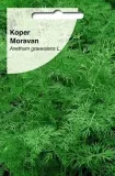 koper-ogrodowy-moravan-nasiona-5g-cykl-rozwojowy-rosliny-jednoroczna