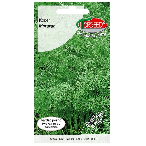 koper-ogrodowy-moravan-nasiona-5g-kolor-kwiatow-roznobarwne