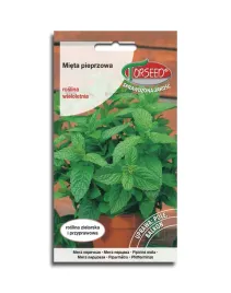 mieta-pieprzowa-nasiona-ziola
