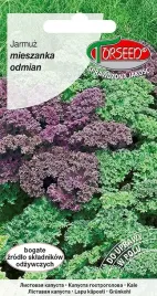 jarmuz-nasiona-warzyw-zdrowy-mix-odmian