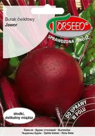 burak-cwiklowy-jawor-plenny-nasiona