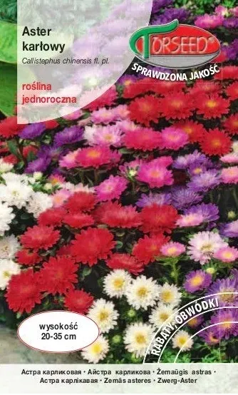 aster-karlowy-chinski-nasiona-kolor-kwiatow-roznobarwne