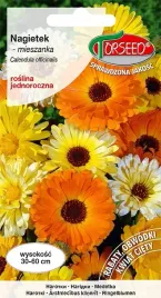 nagietek-mieszanka-nasiona-kwiatow