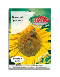 slonecznik-ogrodowy-jadalny-nasiona