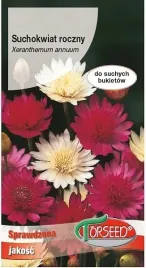 suchokwiat-mieszanka-na-suche-bukiety-nasiona-kwiatow