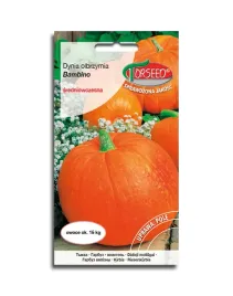 dynia-olbrzymia-bambino-nasiona