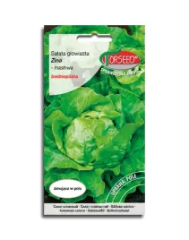 salata-maslowa-zimujaca-zina-nasiona