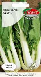 kapusta-chinska-pak-choi-szybki-zbior-nasiona