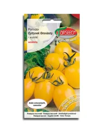 pomidor-cytrynek-koktajlowy-torseed