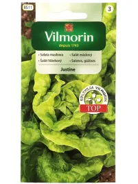 vilmorin-slata-maslowa-nasiona-justyna-o-duzych-zielonych-glowkach