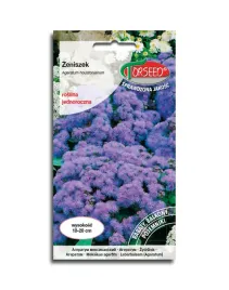 zeniszek-meksykanski-fioletowy-nasiona