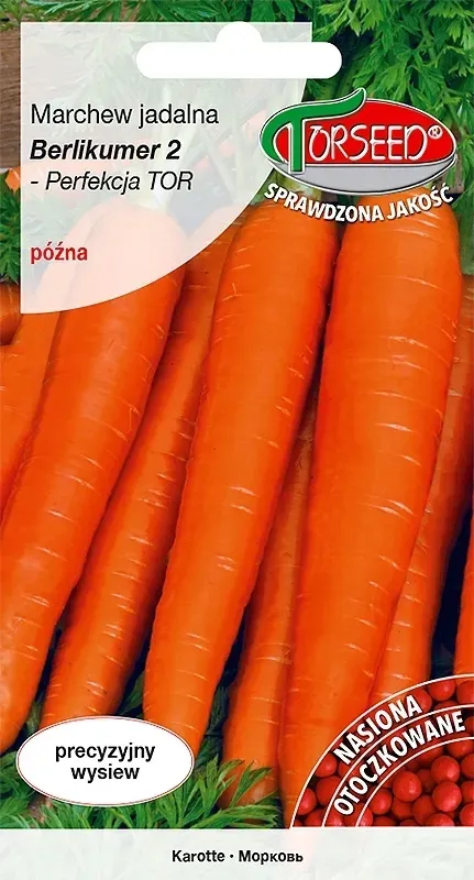 marchew-berlikumer-2-perfekcja-otoczka-rodzaj-rosliny-marchew