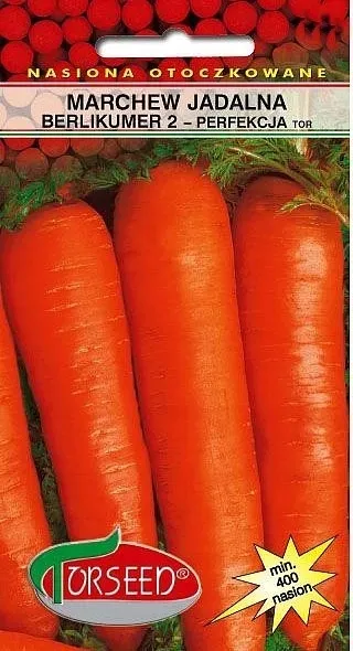 marchew-berlikumer-2-perfekcja-otoczka-marka-torseed