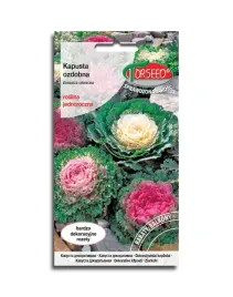 kapusta-ozdobna-mieszanka-nasiona-kwiatow