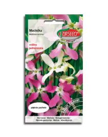maciejka-pachnaca-nasiona-kwiatow