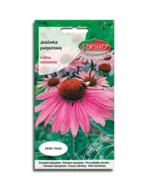 jezowka-purpurowa-nasiona-echinacea-miododajna