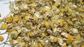 rumianek-dla-chomika-swinki-morskiejkrolik-1-kg