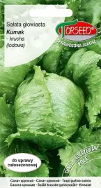 salata-krucha-lodowa-kumak-nasiona